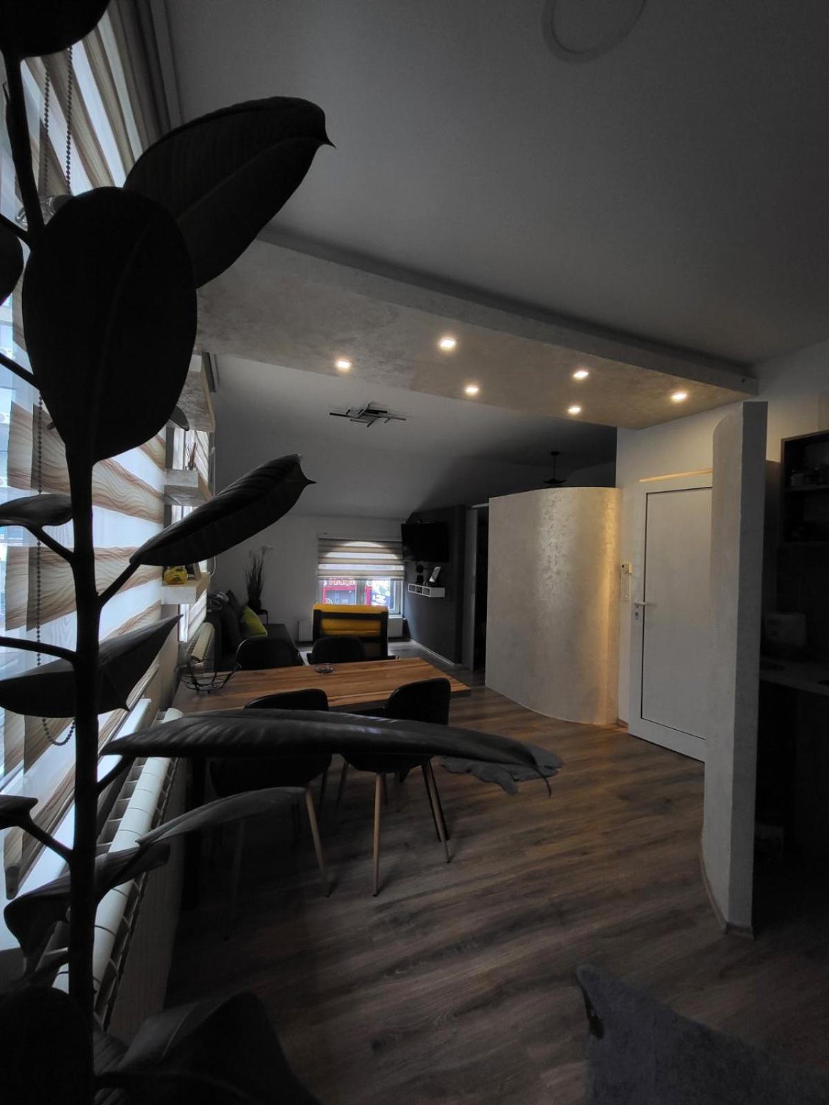 Dolly Apartment
